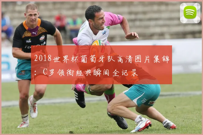 2018世界杯葡萄牙队高清图片集锦:C罗领衔经典瞬间全记录