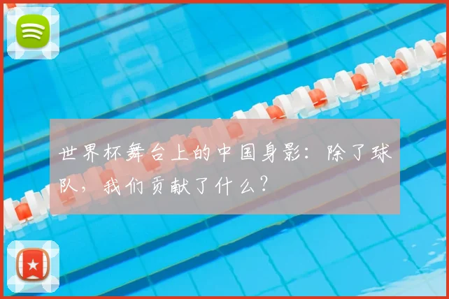 世界杯舞台上的中国身影：除了球队，我们贡献了什么？