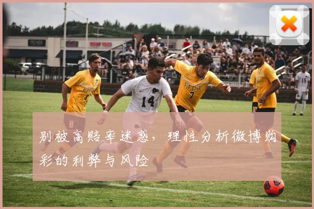 别被高赔率迷惑，理性分析微博购彩的利弊与风险