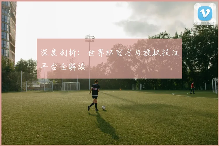 深度剖析:世界杯官方与授权投注平台全解读