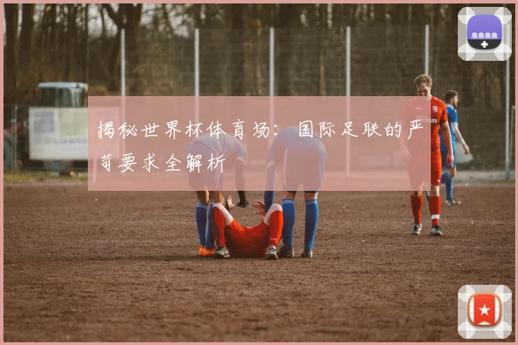 揭秘世界杯体育场：国际足联的严苛要求全解析