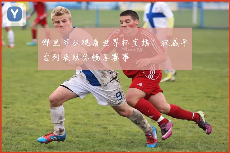 哪里可以观看世界杯直播?权威平台列表助你畅享赛事