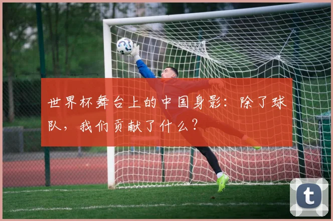 世界杯舞台上的中国身影：除了球队，我们贡献了什么？