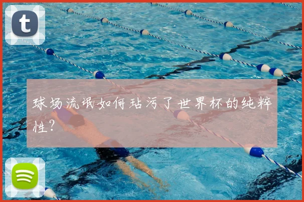 球场流氓如何玷污了世界杯的纯粹性？