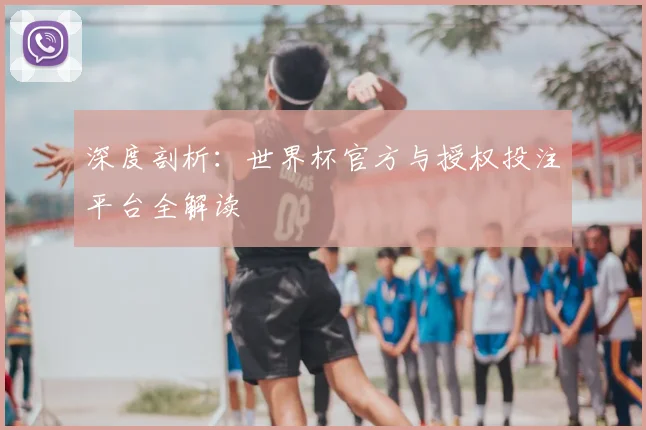 深度剖析：世界杯官方与授权投注平台全解读